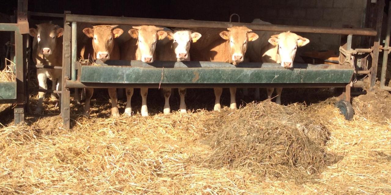 Aux Bois Dores De La Ferme De Sorval, Animaux De La Ferme, Fitness Selvigny Exterior photo